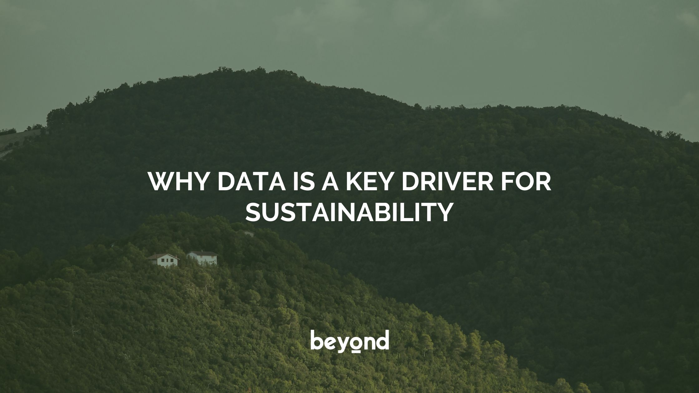 Why Data is A Key Driver for Sustainability